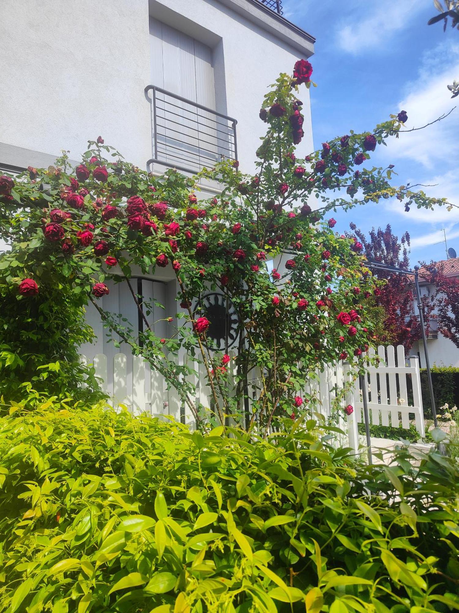 Villa Marianna Garda Lake بسكييرا ديل غاردا المظهر الخارجي الصورة