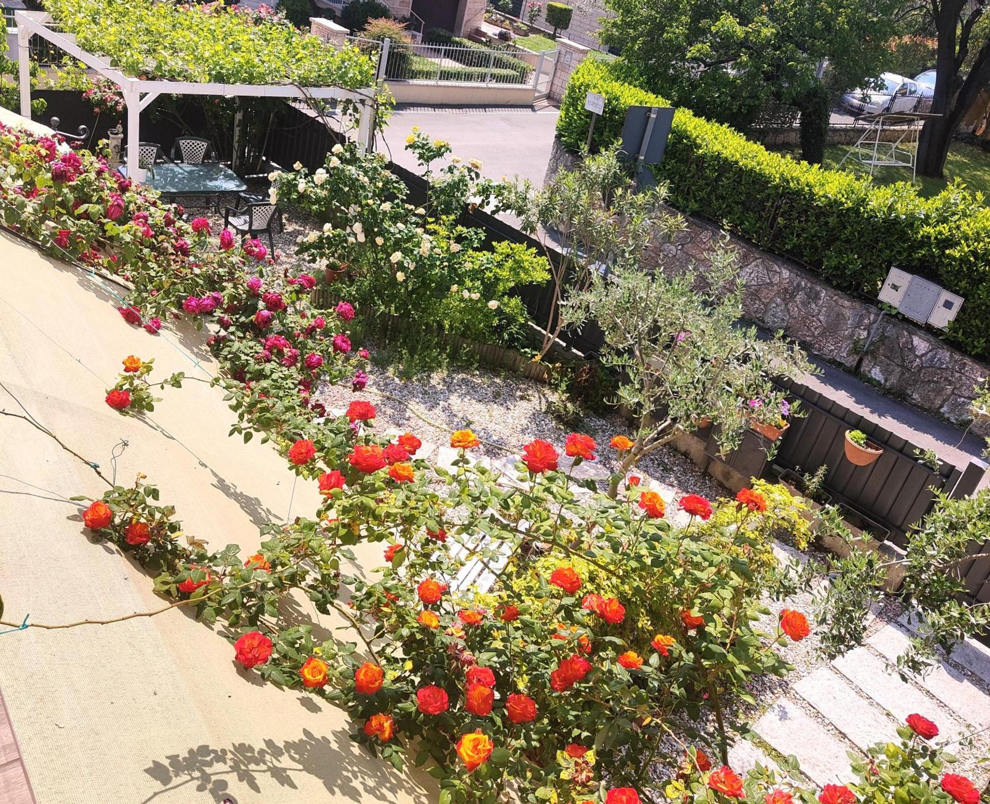 Villa Marianna Garda Lake بسكييرا ديل غاردا المظهر الخارجي الصورة